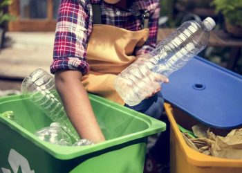 Brasileiros querem reciclar, mas 42% não têm coleta seletiva na rua onde moram