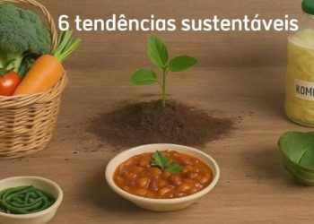 06 tendências sustentáveis nas práticas gastronômicas