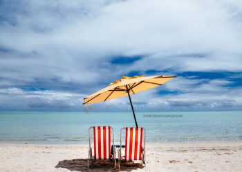 Imunossupressores e exposição solar: cuidados essenciais para saúde